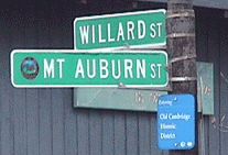 Willard & Mt. Auburn